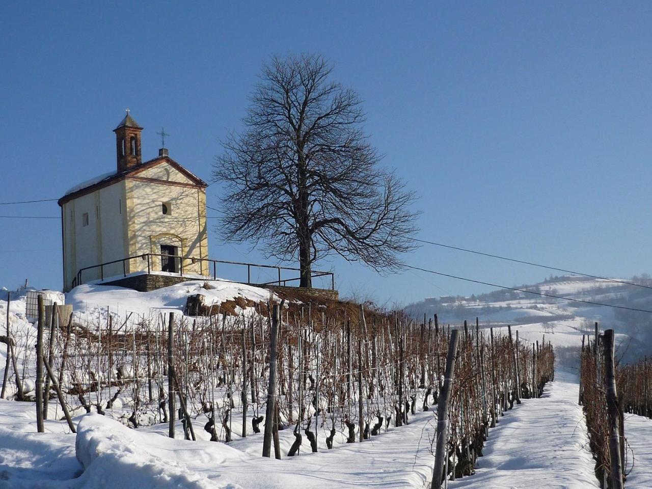 Cascina Sant'Eufemia Villa Sinio Екстериор снимка
