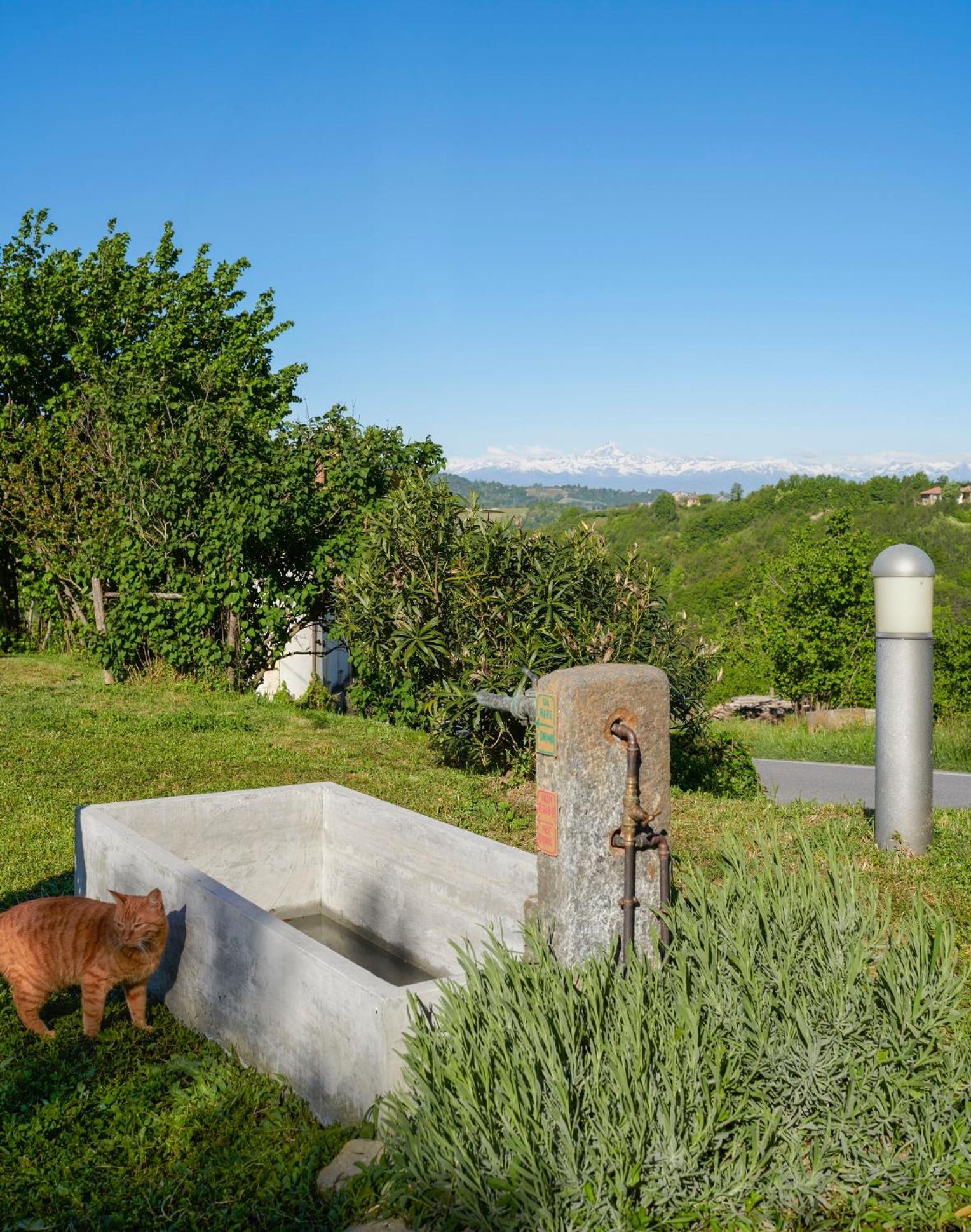 Cascina Sant'Eufemia Villa Sinio Екстериор снимка
