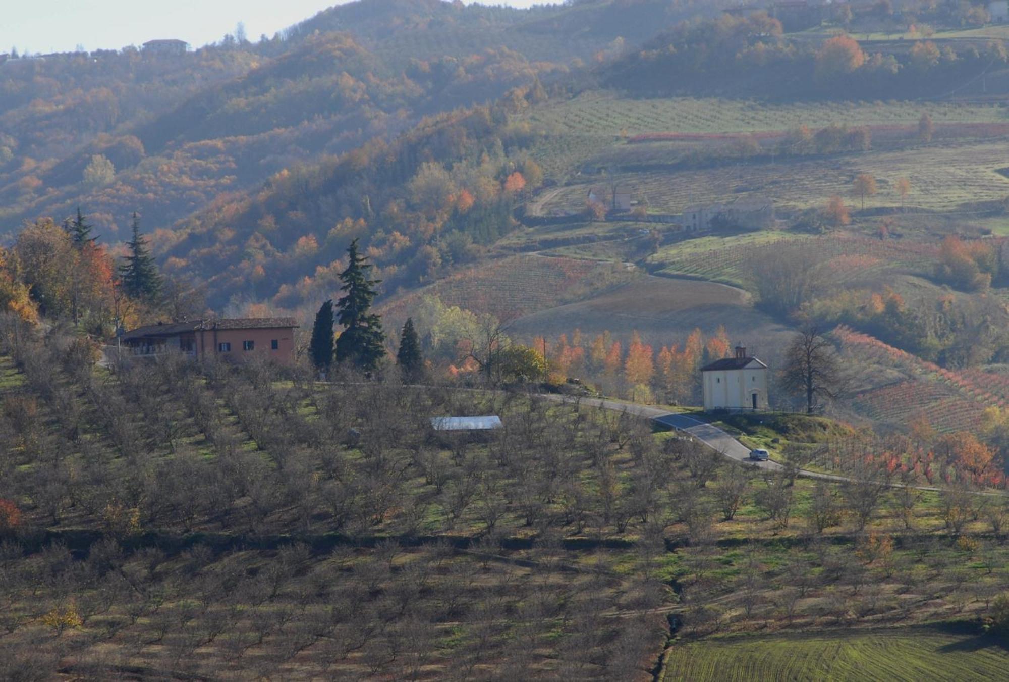 Cascina Sant'Eufemia Villa Sinio Екстериор снимка