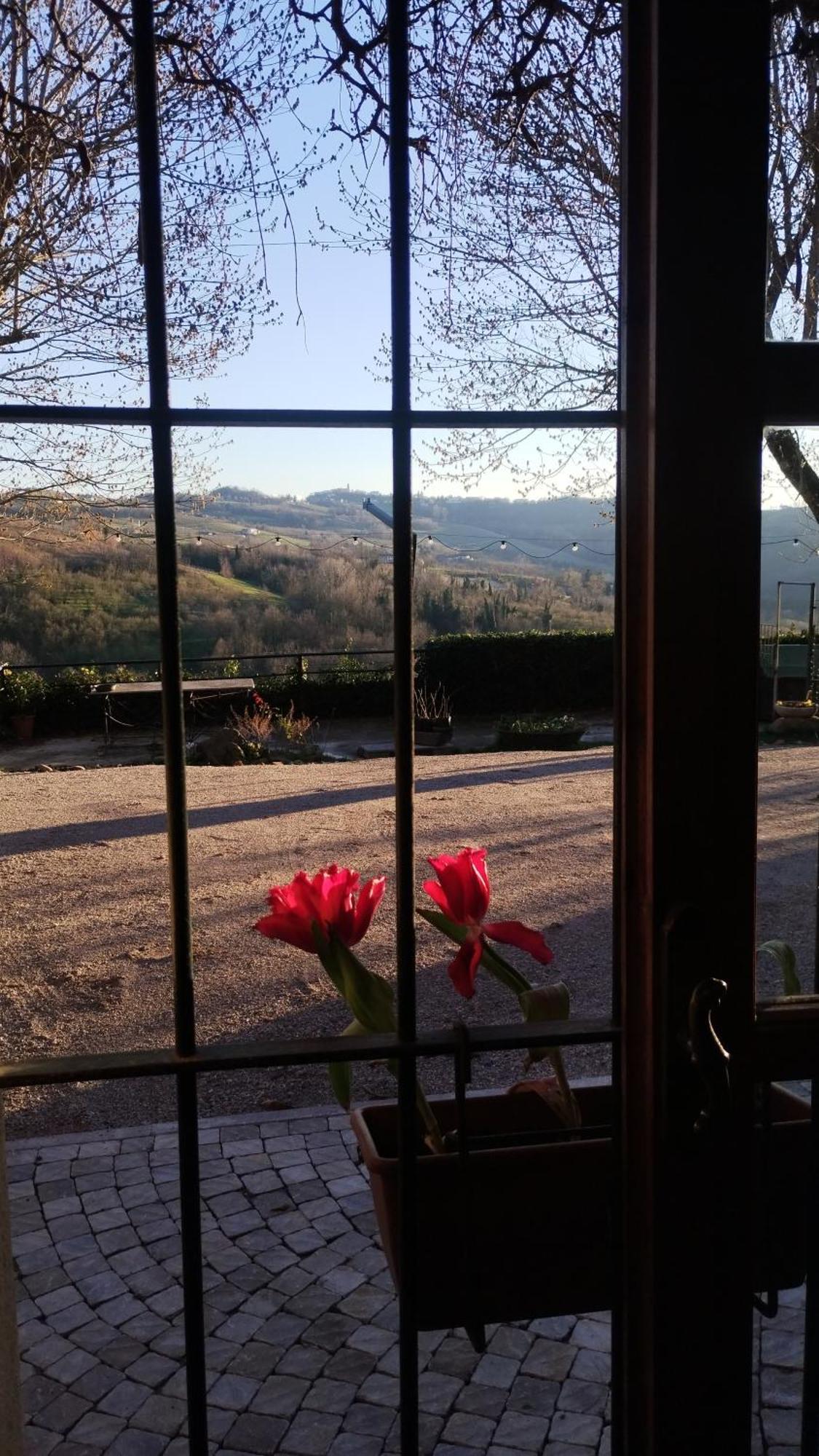 Cascina Sant'Eufemia Villa Sinio Екстериор снимка